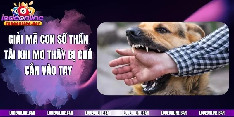 Giải mã con số thần tài khi mơ thấy bị chó cắn vào tay