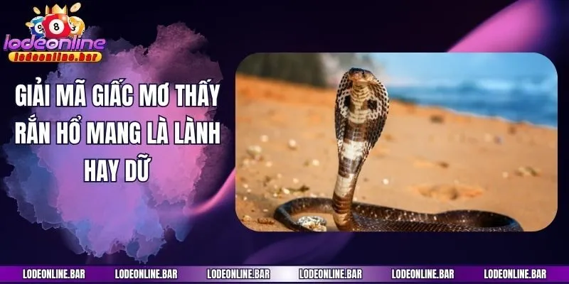 Giải mã giấc mơ thấy rắn hổ mang là lành hay dữ