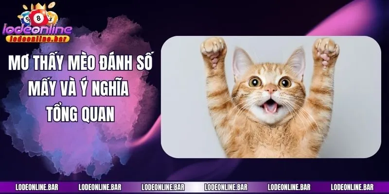 Mơ thấy mèo đánh số mấy và ý nghĩa tổng quan