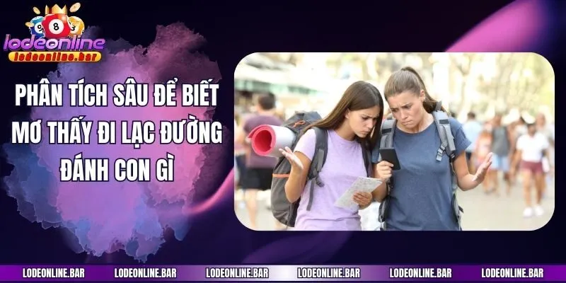 Phân tích sâu để biết mơ thấy đi lạc đường đánh con gì